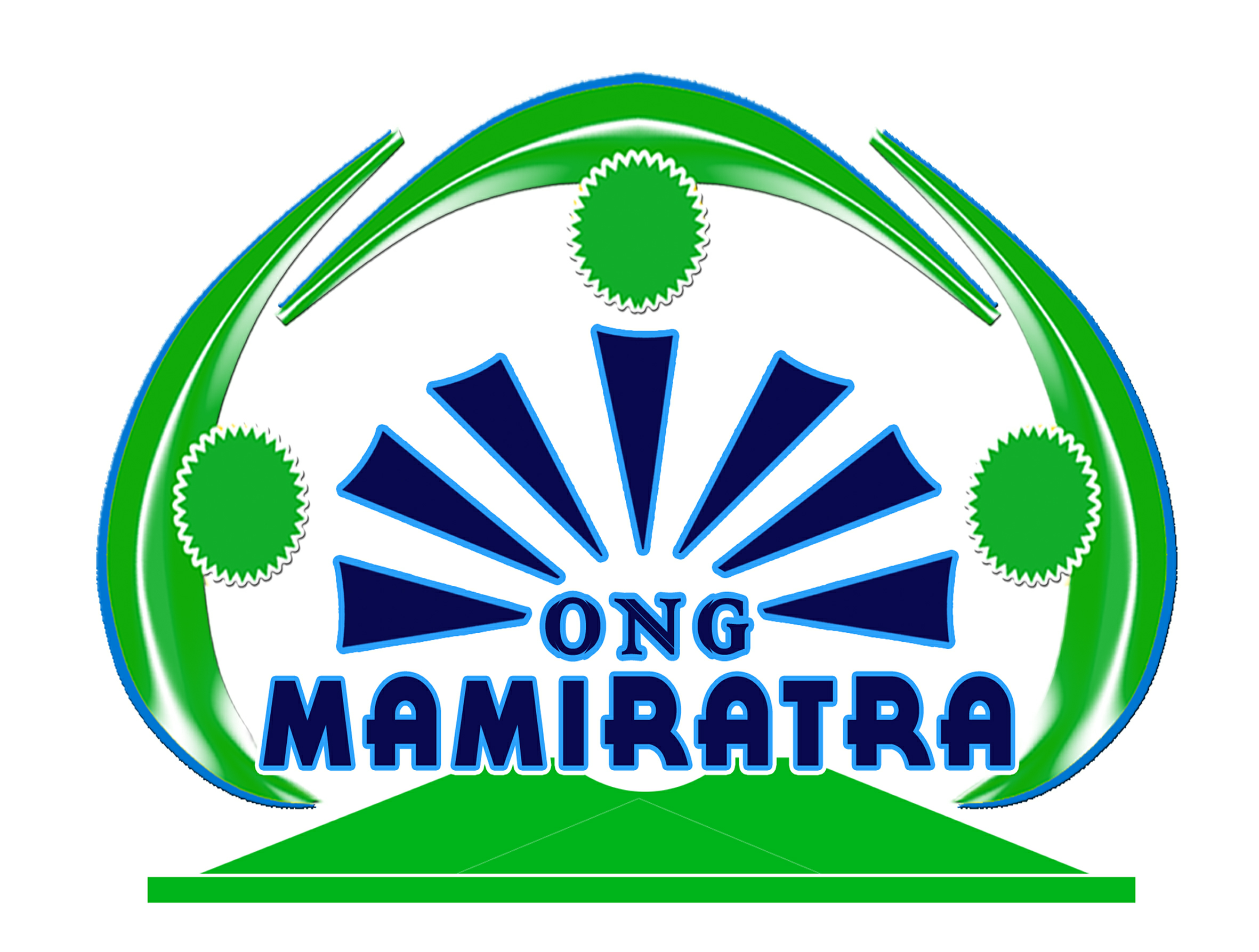 Logo SR OMI